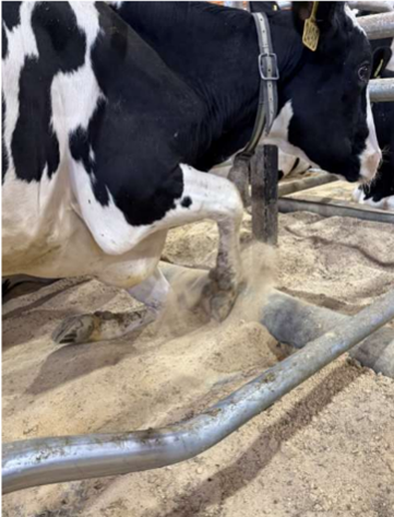 Mynd 2. Nigel B. Cook