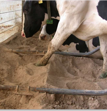 Mynd 3. Nigel B. Cook